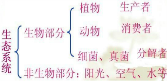 下列属于生产者的是A.进行光合作用的植物B.动物C.微生物D.人 魔方格