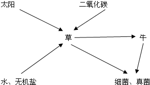 如图是草原生态系统各成分的关系图.请据图回答问题:在这个生态系统中,生产者是______,消费者是______,细菌和真菌作为______,在自然界中起到 魔方格