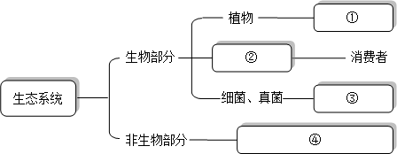下面是生态系统的组成图解,请你补充完善:①______;②______;③______;④______. 魔方格