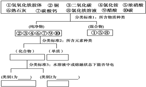 运用树状分类法对下列10种物质进行分类,然后按要求回答问题:进行分类,并在相应空格处作答.氢氧化铁胶体和氯化铁溶液从外 魔方格
