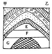 读“某地地质构造剖面图”,回答下列问题(10分)填写下列字母代表的地质构造名称:A___________ C___________在地形上,B表现为 读“某地地质构造剖面图”,回答下列问题(10分)填写下列字母代表的地质构造名称:A___________ C___________在地形上,B表现为