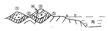 读图回答:④处的地质构造是A.山岭B.谷地C.皱褶 D.断层 读图回答:④处的地质构造是A.山岭B.谷地C.皱褶 D.断层