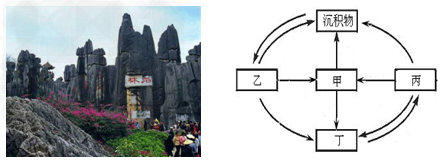 下图所示的云南路南石林属于喀斯特地貌,结合岩石圈物质循环简图,回答1~2题。1.路南石林的岩石按成因属于岩石圈物质循环图中的 下图所示的云南路南石林属于喀斯特地貌,结合岩石圈物质循环简图,回答1~2题。1.路南石林的岩石按成因属于岩石圈物质循环图中的