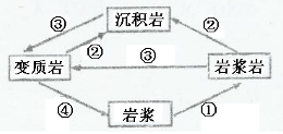 读岩石圈物质循环示意图图中序号代表的地质作用正确的是A.①──重熔再生B.②──外力作用C.③──冷却凝固D.④──变质作用 读岩石圈物质循环示意图图中序号代表的地质作用正确的是A.①──重熔再生B.②──外力作用C.③──冷却凝固D.④──变质作用
