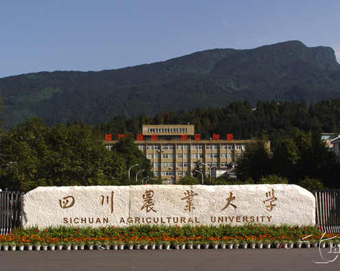 1.jpg 四川农业大学研究生处