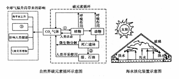 阅读下列材料,分析回答问题碳元素是生态环境中的重要物质,它不但参与地球上的物质循环,而且参与能量流动。上图中各序号所表示的作用或结果分别是:①______ 阅读下列材料,分析回答问题碳元素是生态环境中的重要物质,它不但参与地球上的物质循环,而且参与能量流动。上图中各序号所表示的作用或结果分别是:①______