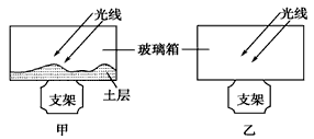 某学校地理兴趣小组做了如下实验:做两个相同规格的玻璃箱,甲底部放一层土,中午同时把两个玻璃箱放在日光下,十五分钟后同时测玻璃箱里的气温,结果发现底 某学校地理兴趣小组做了如下实验:做两个相同规格的玻璃箱,甲底部放一层土,中午同时把两个玻璃箱放在日光下,十五分钟后同时测玻璃箱里的气温,结果发现底