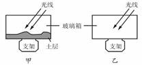某学校地理兴趣小组做了如下实验:做两个相同规格的玻璃箱,甲底部放一 层土,中午同时把两个玻璃箱放在日光下,15分钟后,同时测玻璃箱里的气温,结果发现底 某学校地理兴趣小组做了如下实验:做两个相同规格的玻璃箱,甲底部放一 层土,中午同时把两个玻璃箱放在日光下,15分钟后,同时测玻璃箱里的气温,结果发现底