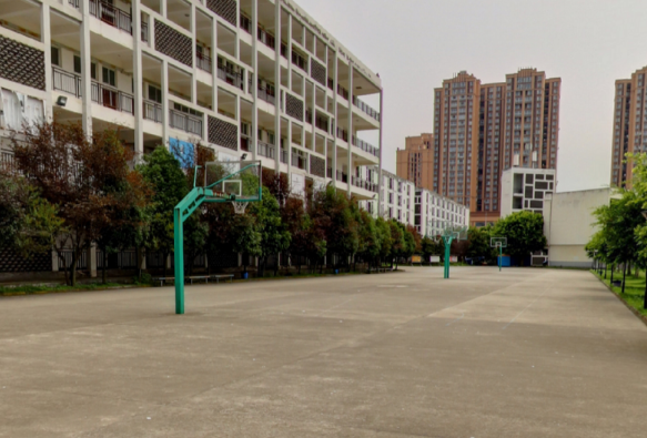 四川商务职业学院怎么样在四川排名多少?有哪些专业?收费标准如何 四川商务职业学院怎么样在四川排名多少?有哪些专业?收费标准如何
