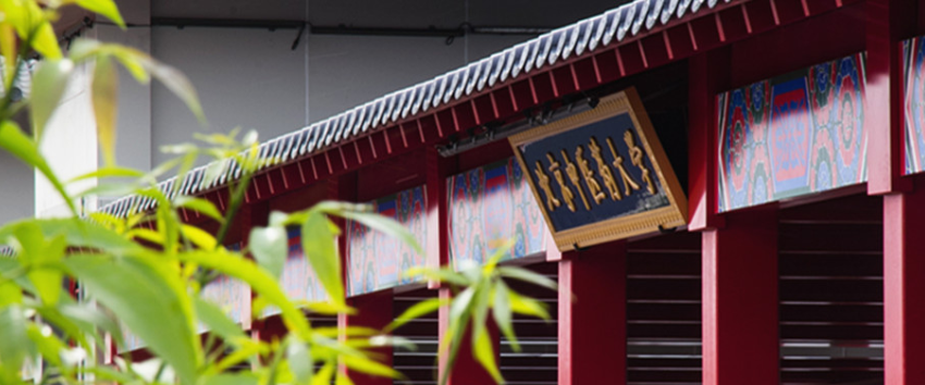 中医药大学有哪些?最好的是哪所?盘点所有中医药大学的排名情况 中医药大学有哪些?最好的是哪所?盘点所有中医药大学的排名情况