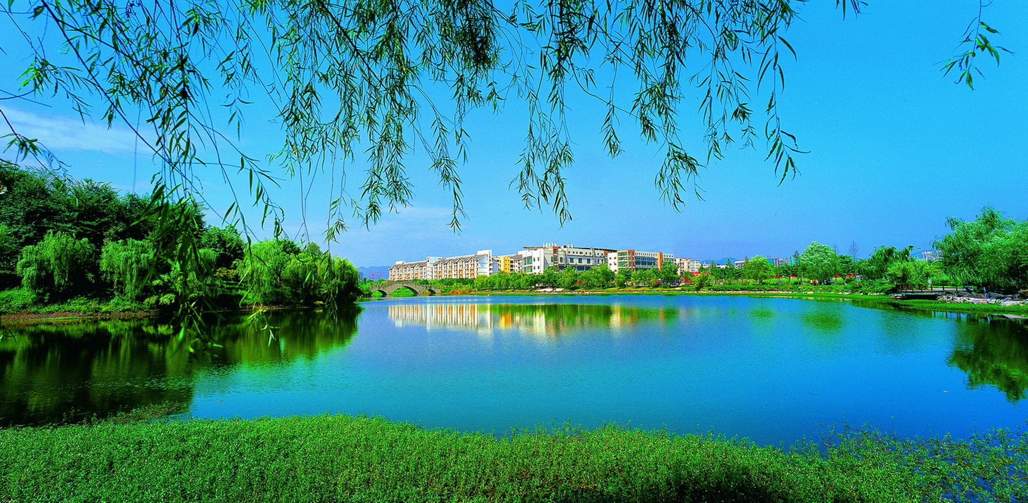 重庆科技学院怎么样真实实力如何?是211吗排名第几?管理是否严格 重庆科技学院怎么样真实实力如何?是211吗排名第几?管理是否严格
