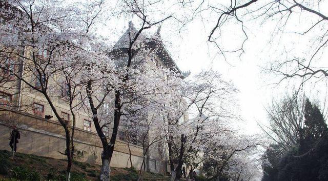 武汉大学排名怎么样在全国排名第几是985吗?武汉大学哪些专业最好 武汉大学排名怎么样在全国排名第几是985吗?武汉大学哪些专业最好