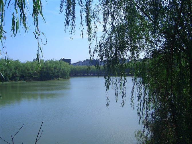 脱产专升本是什么意思有哪些大学?脱产专升本考试难不难? 脱产专升本是什么意思有哪些大学?脱产专升本考试难不难?