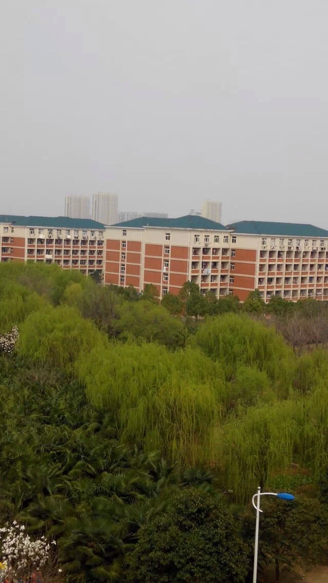 中央党校研究生好考吗前景如何?党校研究生有用吗毕业出路有哪些? 中央党校研究生好考吗前景如何?党校研究生有用吗毕业出路有哪些?