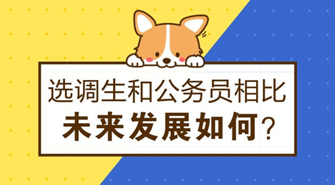大学生选调生报考条件有哪些?选调生发展前景如何和省考哪个好? 大学生选调生报考条件有哪些?选调生发展前景如何和省考哪个好?