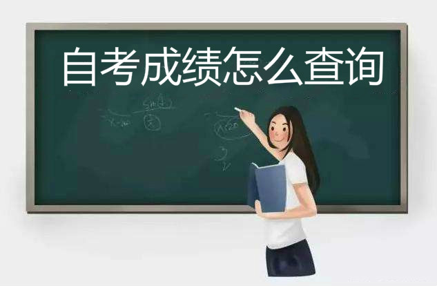 自考网上报名在哪里?报名时间是什么时候?自考的成绩怎么查询? 自考网上报名在哪里?报名时间是什么时候?自考的成绩怎么查询?