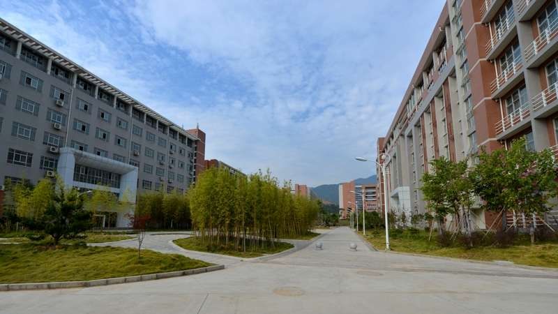 福建林业职业技术学院怎么样?排名第几?就业前景如何?学费多少 福建林业职业技术学院怎么样?排名第几?就业前景如何?学费多少