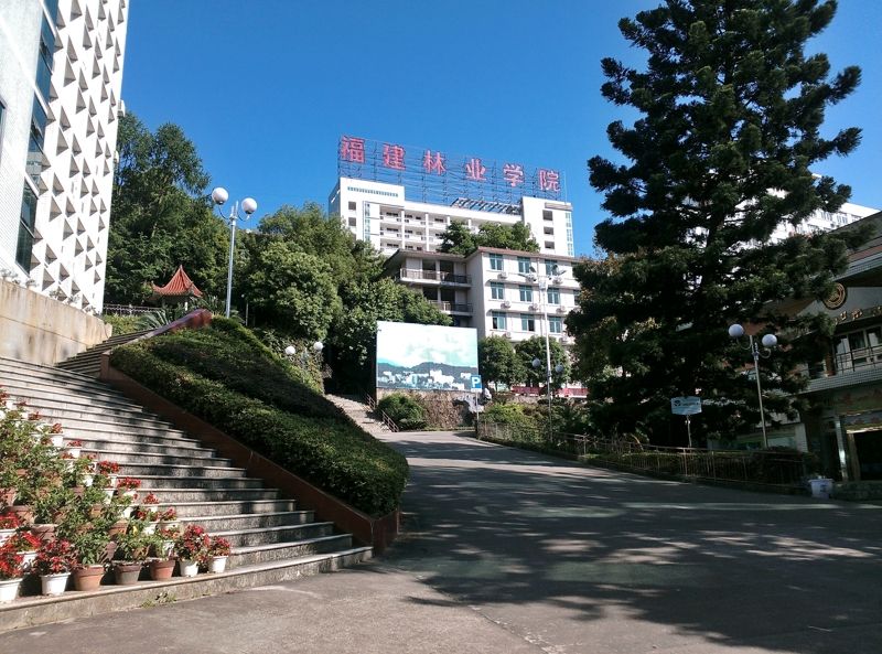 福建林业职业技术学院怎么样?排名第几?就业前景如何?学费多少 福建林业职业技术学院怎么样?排名第几?就业前景如何?学费多少