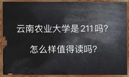 云南农业大学是211吗怎么样值得读吗?什么专业最好就业前景怎样 云南农业大学是211吗怎么样值得读吗?什么专业最好就业前景怎样