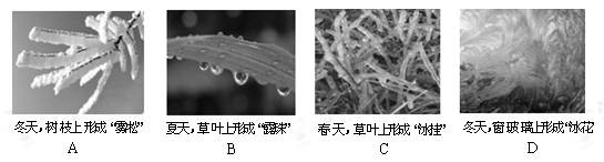 如图所示的四个物态变化的实例中,属于液化现象的是 如图所示的四个物态变化的实例中,属于液化现象的是