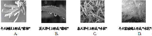 图中所示的四个实例中,属于液化现象的是 图中所示的四个实例中,属于液化现象的是