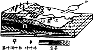 读我国某地区图,回答下列问题。图中A为__________,一般分布于______________________ 读我国某地区图,回答下列问题。图中A为__________,一般分布于______________________