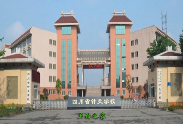 成都那些卫校是纯医学类 四川针灸学校