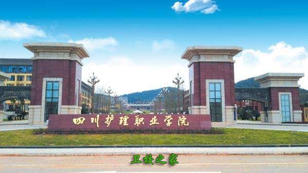 成都那些卫校是纯医学类 四川护理职业学院