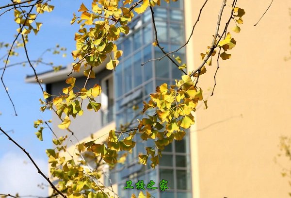 四川卫生学校管理最严格top5 省卫校
