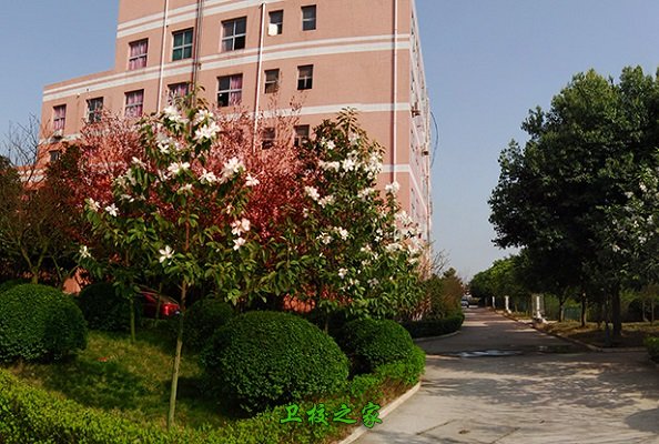 四川卫生学校管理最严格top5 南充卫校