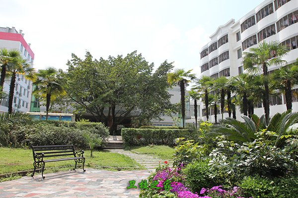 四川卫生学校就业排名top5 省卫校