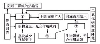 洋面封冻产生的环境效应叫做洋面封冻效应,“洋面封冻效应”是使水、气候、生物等形成相互作用关系。小题1:根据上图中各项内容之间的相互关系,数字①②③所代表的内容依 洋面封冻产生的环境效应叫做洋面封冻效应,“洋面封冻效应”是使水、气候、生物等形成相互作用关系。小题1:根据上图中各项内容之间的相互关系,数字①②③所代表的内容依