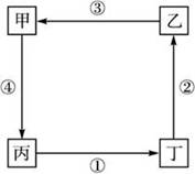 看下图,回答下列问题小题1:如果此图表示的是三圈环流中的低纬环流系统,则正确的叙述为A.丙为极地高压带B.常年受丙控制的地区往往形成干燥的气候C.气压带丁和 看下图,回答下列问题小题1:如果此图表示的是三圈环流中的低纬环流系统,则正确的叙述为A.丙为极地高压带B.常年受丙控制的地区往往形成干燥的气候C.气压带丁和