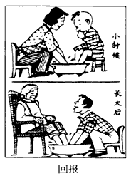 看漫画《回报》后,请回答: 漫画的意思是什么? _________________________________________ 看漫画《回报》后,请回答: 漫画的意思是什么? _________________________________________