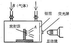 1919年卢瑟福通过如图所示的实验装置,第一次完成了原子核的人工转变,并由此发现______.图中A为放射源发出的______粒子,B为______气.完成该实 魔方格
