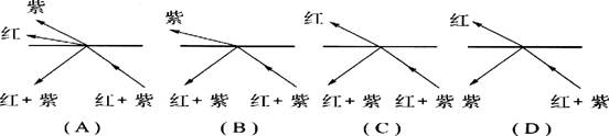 一束红、紫两色的混合光,从某种液体射向空气,当研究在界面上发生的折射和反射现象时. 可能发生的情况是下图中的 一束红、紫两色的混合光,从某种液体射向空气,当研究在界面上发生的折射和反射现象时. 可能发生的情况是下图中的