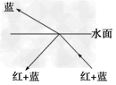 不定项选择很多公园的水池底都装有彩灯,当一细束由红、蓝两色组成的灯光从水中斜射向空气时,关于光 不定项选择很多公园的水池底都装有彩灯,当一细束由红、蓝两色组成的灯光从水中斜射向空气时,关于光