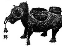 右下图为山西出土的春秋时期青铜酒器牛尊,牛鼻穿有环,考古学家据此可推断出A.春秋时期贵族有酗酒之风,在牛鼻上装环便于拖曳沉重的青铜酒器B.春秋时期牛已被牵引从事 右下图为山西出土的春秋时期青铜酒器牛尊,牛鼻穿有环,考古学家据此可推断出A.春秋时期贵族有酗酒之风,在牛鼻上装环便于拖曳沉重的青铜酒器B.春秋时期牛已被牵引从事