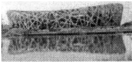 北京2008年奥运会的国家体育场“鸟巢”建筑面积达25.8万平方米,用科学记数法表示应为______. 魔方格