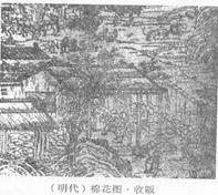 阅读下列材料:材料一战国时候,韩、赵、魏三国的垦荒工作取得很大成效,中原地区的荒地大大减少。秦国从孝公商鞅变法以来也很重视垦荒,到秦昭王晚年更用分给田宅、免除徭 阅读下列材料:材料一战国时候,韩、赵、魏三国的垦荒工作取得很大成效,中原地区的荒地大大减少。秦国从孝公商鞅变法以来也很重视垦荒,到秦昭王晚年更用分给田宅、免除徭