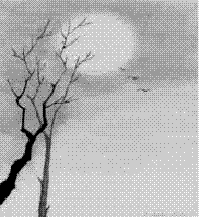 阅读王湾《次北固山下》一诗,回答下面的问题客路青山外,行舟绿水前。潮平两岸阔,风正一帆悬。海日生残夜,江春入旧年。乡书何处达?归 阅读王湾《次北固山下》一诗,回答下面的问题客路青山外,行舟绿水前。潮平两岸阔,风正一帆悬。海日生残夜,江春入旧年。乡书何处达?归