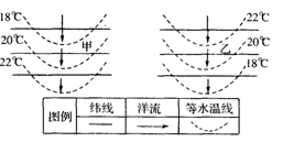 读图,下列叙述正确的是A.甲位于南半球B.乙位于北半球C.甲图洋流为寒流D.乙图洋流为寒流 读图,下列叙述正确的是A.甲位于南半球B.乙位于北半球C.甲图洋流为寒流D.乙图洋流为寒流