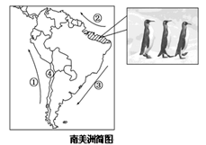 2008年10月7日重庆晚报报道,自7月以来,在巴西东北部接近赤道的几个州的海滩上陆续出现了企鹅的身影,由于不适应气候,它们中的大多数非常虚弱。巴西环保组织立即 2008年10月7日重庆晚报报道,自7月以来,在巴西东北部接近赤道的几个州的海滩上陆续出现了企鹅的身影,由于不适应气候,它们中的大多数非常虚弱。巴西环保组织立即