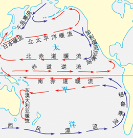 1990年5月的一天,在美国华盛顿州海滩漫步的人们突然发现,成千上万种颜色和尺码的鞋子向岸边漂来。人们带着满腹疑惑收集起这些湿透了的鞋子,并猜测 1990年5月的一天,在美国华盛顿州海滩漫步的人们突然发现,成千上万种颜色和尺码的鞋子向岸边漂来。人们带着满腹疑惑收集起这些湿透了的鞋子,并猜测