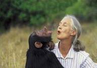 Jane Goodall is one of the most well-known scientists in the world. Jane Goodall is one of the most well-known scientists in the world.