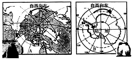 读极地地区图回答:A_______洲,B_______洋,C在南极点_______方向。认真观察上图,说出你区分北极地区和南极地区的方法?_ 读极地地区图回答:A_______洲,B_______洋,C在南极点_______方向。认真观察上图,说出你区分北极地区和南极地区的方法?_