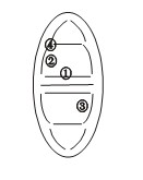读洋流模式图回答:从图中可以看出在南北半球中低纬度海区形成以____、_____为中心的大洋环流,在北半球呈_________方向流动。按性 读洋流模式图回答:从图中可以看出在南北半球中低纬度海区形成以____、_____为中心的大洋环流,在北半球呈_________方向流动。按性