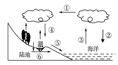 读水循环示意图,完成题。小题1:“云气西行,云云然,冬夏不辍;水泉东流,日夜不休,上不竭,下不满……”这段文字涉及的水循环的环节主要是A.①②④B.①⑤⑥C.② 读水循环示意图,完成题。小题1:“云气西行,云云然,冬夏不辍;水泉东流,日夜不休,上不竭,下不满……”这段文字涉及的水循环的环节主要是A.①②④B.①⑤⑥C.②