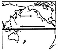 根据材料回答问题。材料一: 1990年5月的一天,在美国华盛顿州海滩漫步的人们突然发现,成千上万种颜色和尺码的鞋子向岸边漂来 根据材料回答问题。材料一: 1990年5月的一天,在美国华盛顿州海滩漫步的人们突然发现,成千上万种颜色和尺码的鞋子向岸边漂来