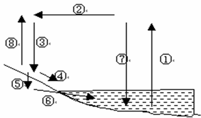 看图2填出水循环的基本环节图2①_______ ②_______③_______④_______⑤_______⑥_______ ⑦_______⑧ _____ 看图2填出水循环的基本环节图2①_______ ②_______③_______④_______⑤_______⑥_______ ⑦_______⑧ _____